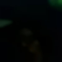 Calvin - Chácaras Califórnia, Araçatuba