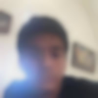 Romeu - Aristocrata, São José dos Pinhais